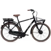 Giant Triple X E+1 GTS Classic Black Heren 2022