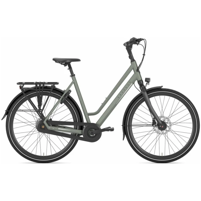 Gazelle Chamonix C8 Clay Green Mat Dames 2024