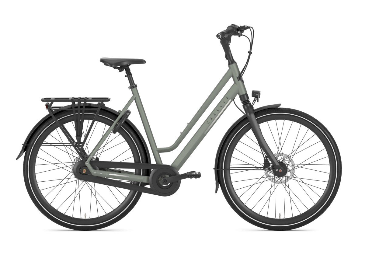 Gazelle Chamonix C8 Clay Green Mat Dames 2026